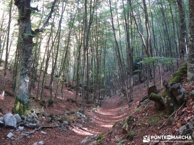 Montaña palentina;fin de semana romantico escapadas fin de semana